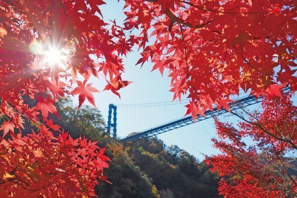 第35回 竜神峡紅葉まつり