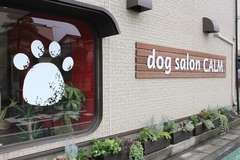 dog salon CALM