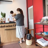 dog salon CALM