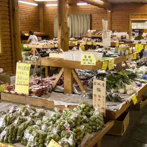 つくばの野菜生産直売所