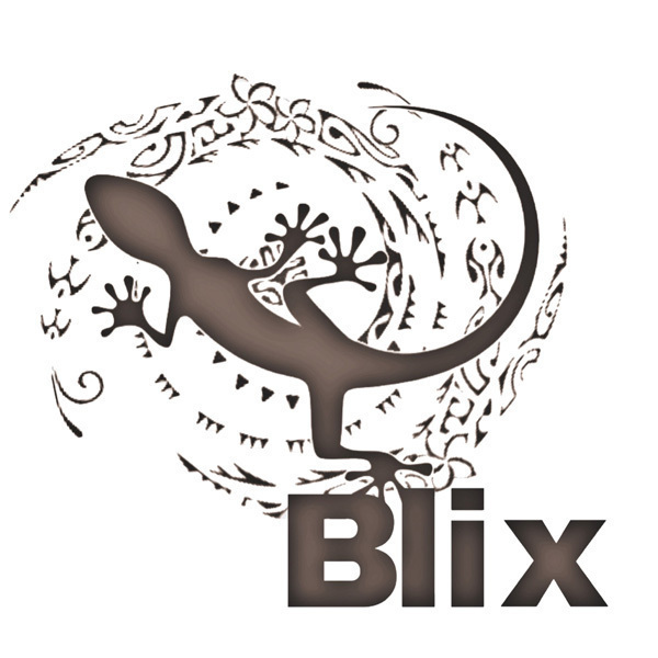 Blix Dance School