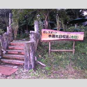 癒しスポット 木漏れ日喫茶（木陰）