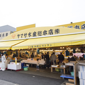 ヤマサ水産 総本店