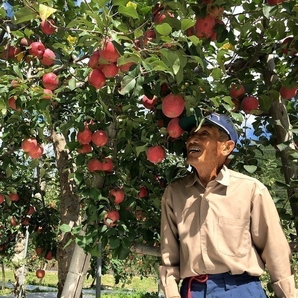 与沢武夫農園