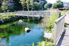 イトヨの里 泉が森公園