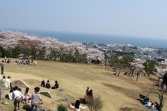 かみね遊園地