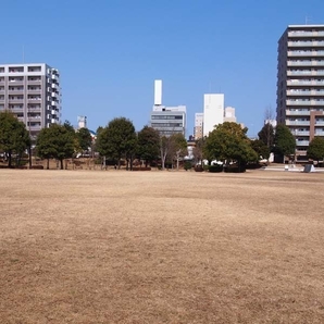 駅南平和公園