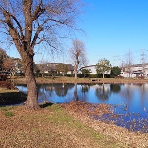 中沢池公園