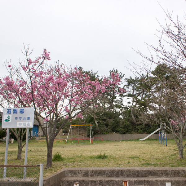 仲町公園