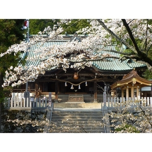 筑波山神社