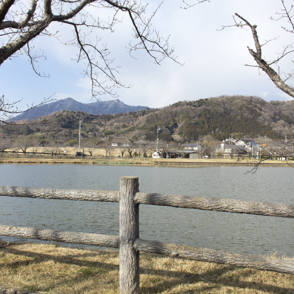 大池公園