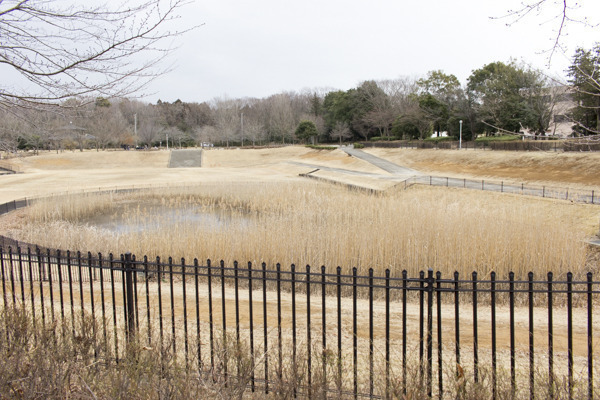 和台公園