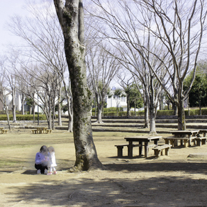 並木公園