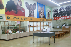 ペットコミュニティプラザ ひたち野うしく店