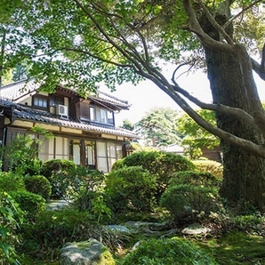 庭園味噌蔵 たつご味噌