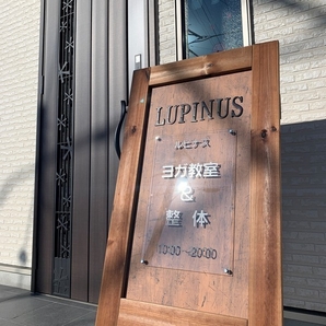 ヨガ教室&整体 Lupinus