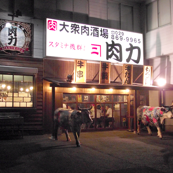 大衆肉酒場　肉力