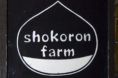 市ノ澤栗園 shokoron farm