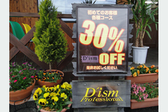 D'ism professional hair 