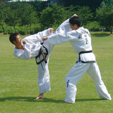 茨城テコンドー協会 土浦道場