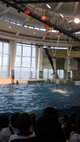 大洗水族館